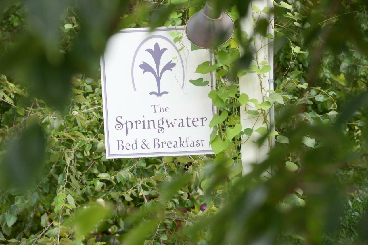 The Springwater Bed And Breakfast Saratoga Springs Exterior foto