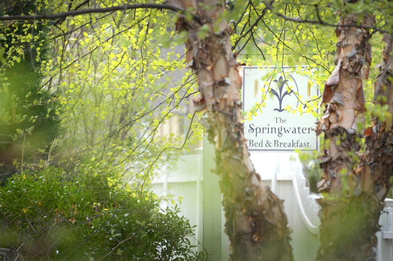 The Springwater Bed And Breakfast Saratoga Springs Exterior foto